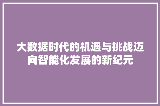 大数据时代的机遇与挑战迈向智能化发展的新纪元