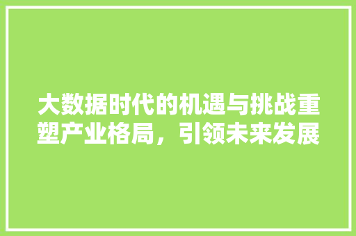 大数据时代的机遇与挑战重塑产业格局，引领未来发展趋势  第1张