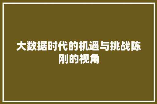 大数据时代的机遇与挑战陈刚的视角