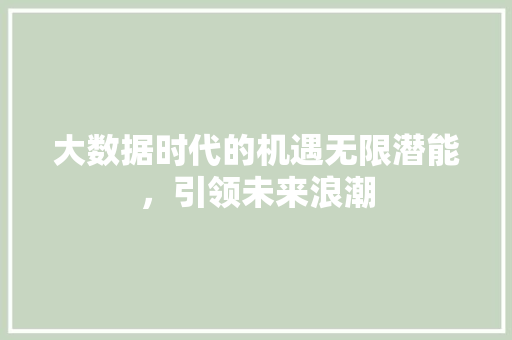 大数据时代的机遇无限潜能，引领未来浪潮  第1张