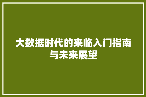 大数据时代的来临入门指南与未来展望