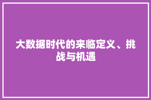 大数据时代的来临定义、挑战与机遇