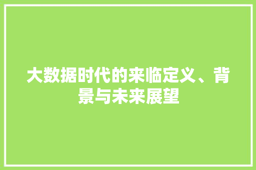 大数据时代的来临定义、背景与未来展望