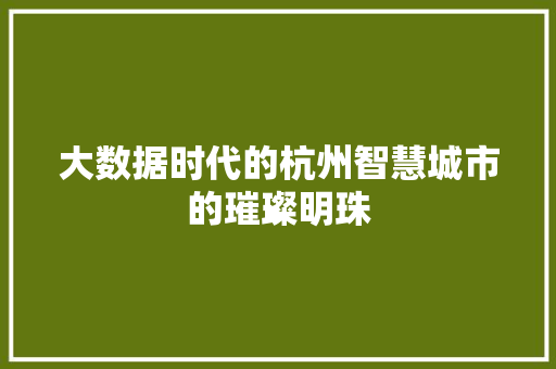 大数据时代的杭州智慧城市的璀璨明珠  第1张