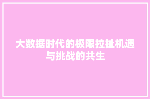 大数据时代的极限拉扯机遇与挑战的共生  第1张