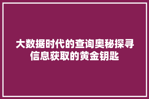 大数据时代的查询奥秘探寻信息获取的黄金钥匙