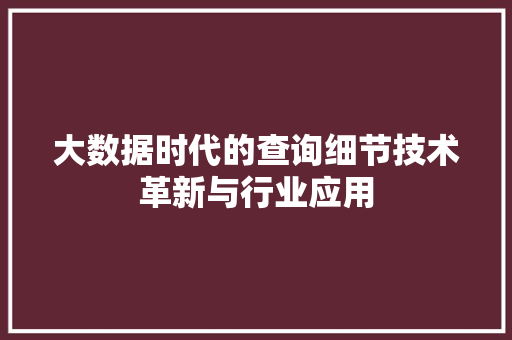 大数据时代的查询细节技术革新与行业应用