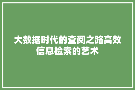 大数据时代的查阅之路高效信息检索的艺术