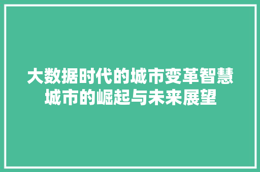 大数据时代的城市变革智慧城市的崛起与未来展望  第1张