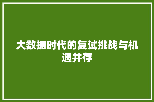 大数据时代的复试挑战与机遇并存
