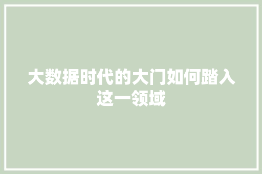 大数据时代的大门如何踏入这一领域