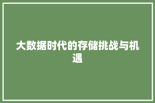 大数据时代的存储挑战与机遇  第1张
