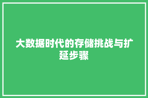 大数据时代的存储挑战与扩延步骤  第1张