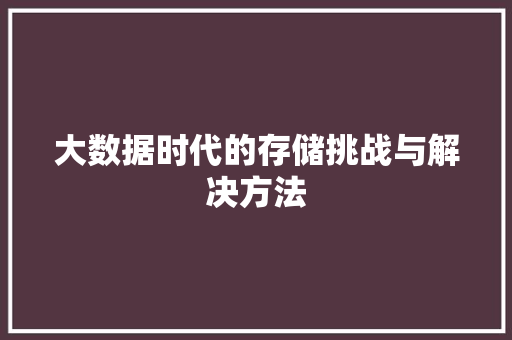 大数据时代的存储挑战与解决方法  第1张
