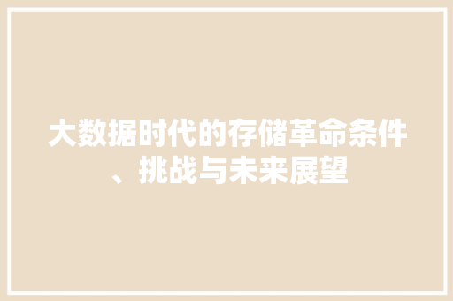 大数据时代的存储革命条件、挑战与未来展望