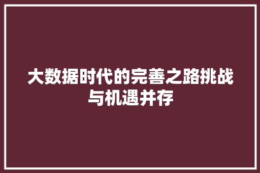 大数据时代的完善之路挑战与机遇并存  第1张