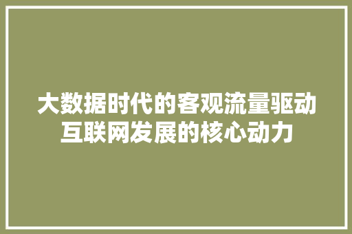 大数据时代的客观流量驱动互联网发展的核心动力