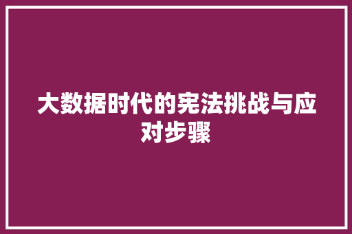 大数据时代的宪法挑战与应对步骤
