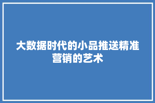 大数据时代的小品推送精准营销的艺术