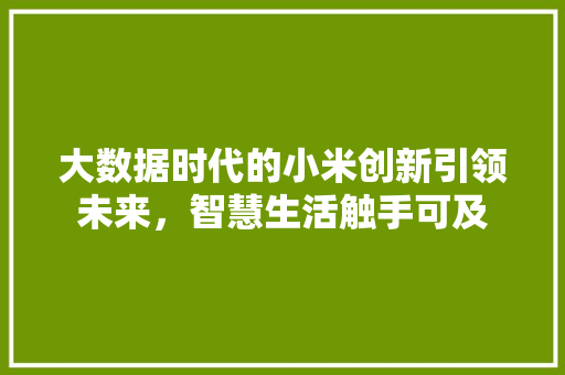 大数据时代的小米创新引领未来，智慧生活触手可及  第1张