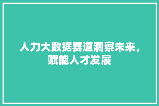 人力大数据赛道洞察未来，赋能人才发展