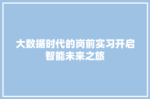 大数据时代的岗前实习开启智能未来之旅