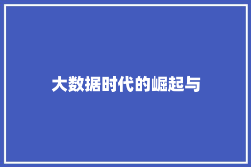 大数据时代的崛起与  第1张