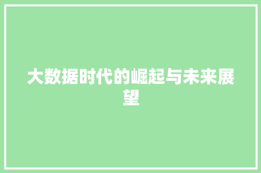 大数据时代的崛起与未来展望  第1张