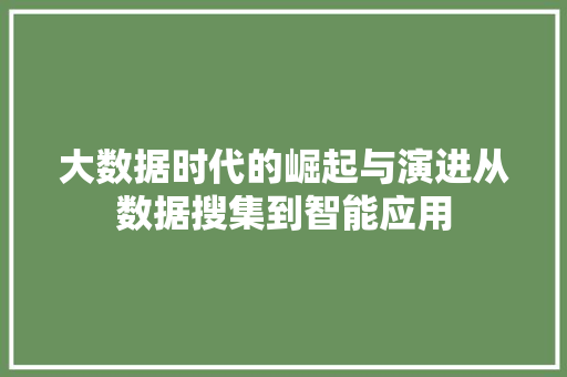 大数据时代的崛起与演进从数据搜集到智能应用  第1张