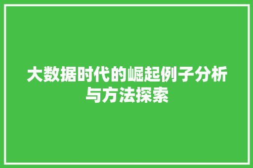 大数据时代的崛起例子分析与方法探索  第1张
