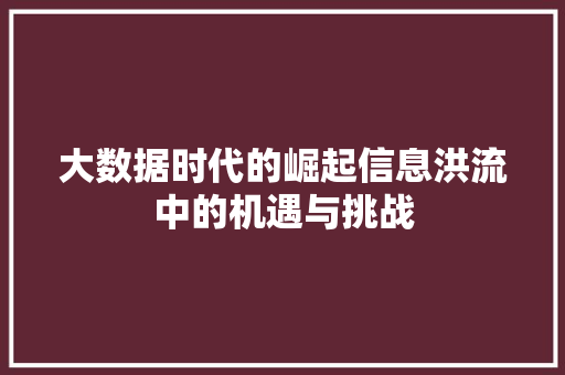 大数据时代的崛起信息洪流中的机遇与挑战  第1张