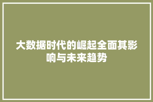 大数据时代的崛起全面其影响与未来趋势