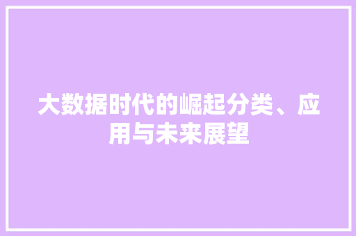 大数据时代的崛起分类、应用与未来展望  第1张