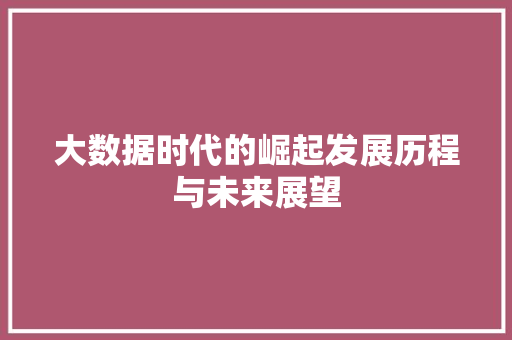 大数据时代的崛起发展历程与未来展望