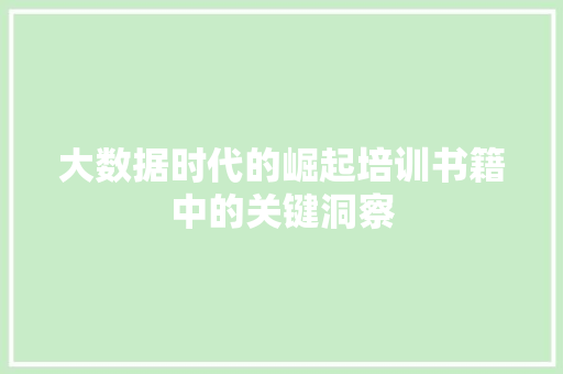 大数据时代的崛起培训书籍中的关键洞察