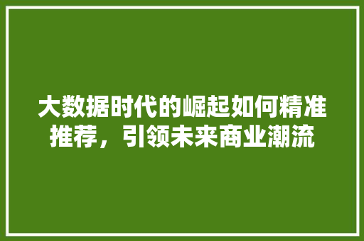 大数据时代的崛起如何精准推荐，引领未来商业潮流  第1张