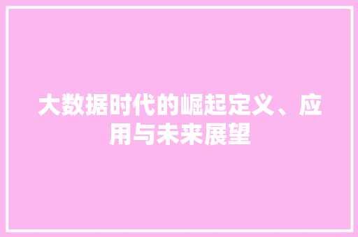 大数据时代的崛起定义、应用与未来展望