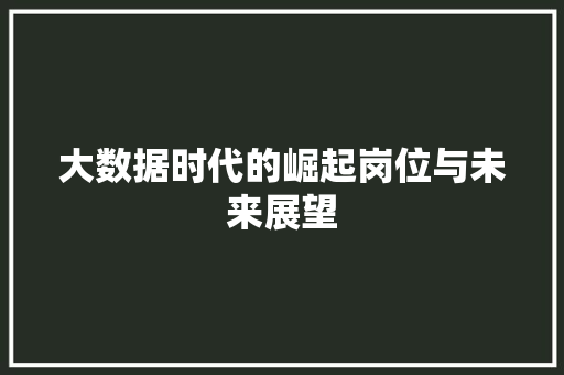 大数据时代的崛起岗位与未来展望  第1张