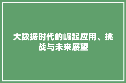 大数据时代的崛起应用、挑战与未来展望  第1张