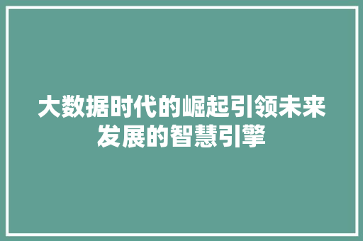 大数据时代的崛起引领未来发展的智慧引擎