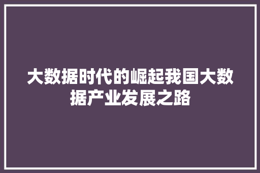 大数据时代的崛起我国大数据产业发展之路