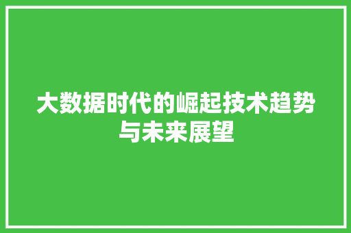 大数据时代的崛起技术趋势与未来展望