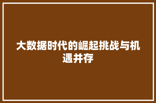 大数据时代的崛起挑战与机遇并存  第1张
