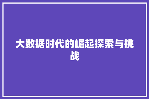 大数据时代的崛起探索与挑战  第1张