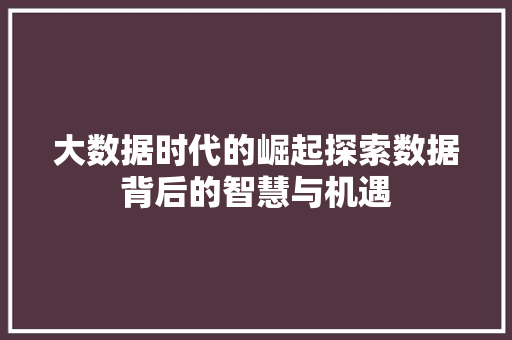 大数据时代的崛起探索数据背后的智慧与机遇