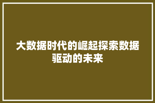 大数据时代的崛起探索数据驱动的未来  第1张