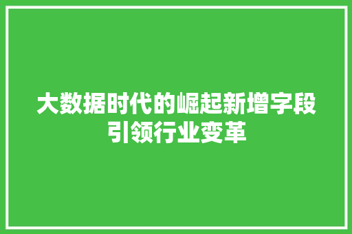 大数据时代的崛起新增字段引领行业变革
