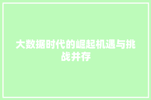 大数据时代的崛起机遇与挑战并存  第1张