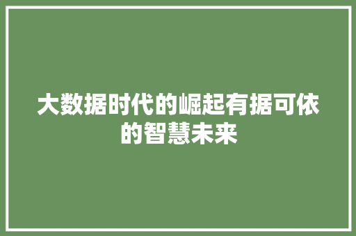 大数据时代的崛起有据可依的智慧未来  第1张