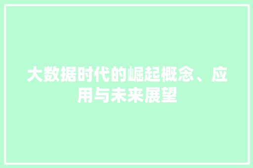 大数据时代的崛起概念、应用与未来展望  第1张